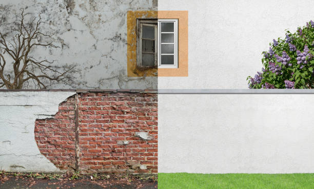 Best Industrial Mold Remediation  in Smyrna, GA