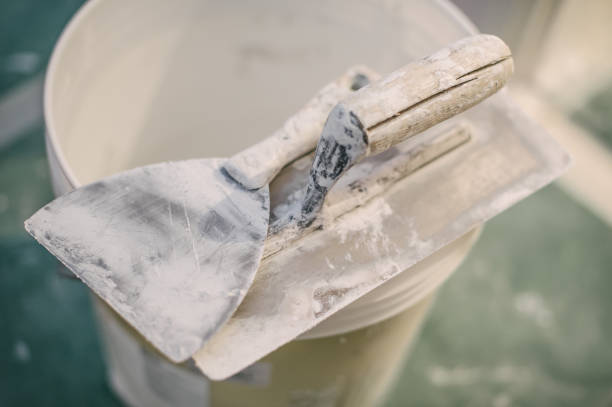 Best Basement Mold Removal  in Smyrna, GA