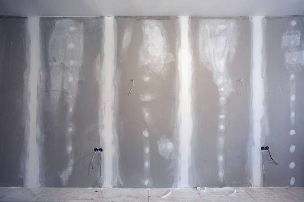 Best Mold Odor Removal Services  in Smyrna, GA